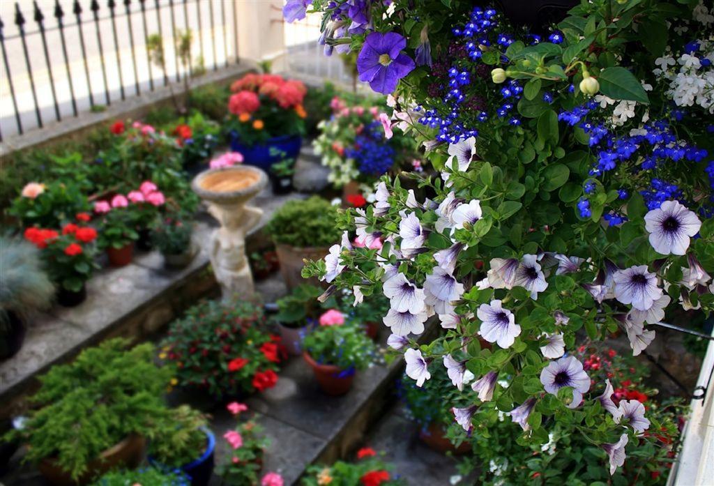 Florence Guest House Weston-super-Mare Zewnętrze zdjęcie